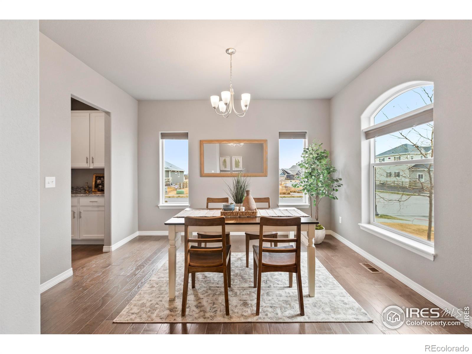 MLS Image #9 for 5461  homeward drive,timnath, Colorado