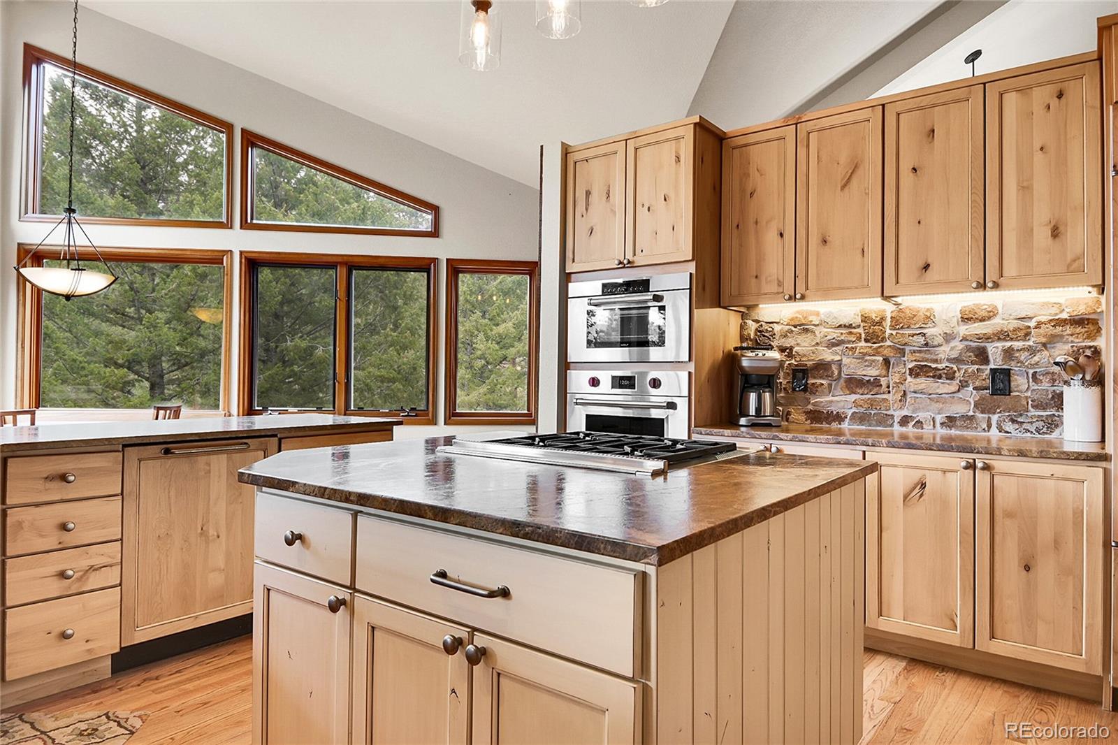 MLS Image #7 for 3726  spring valley trail,evergreen, Colorado