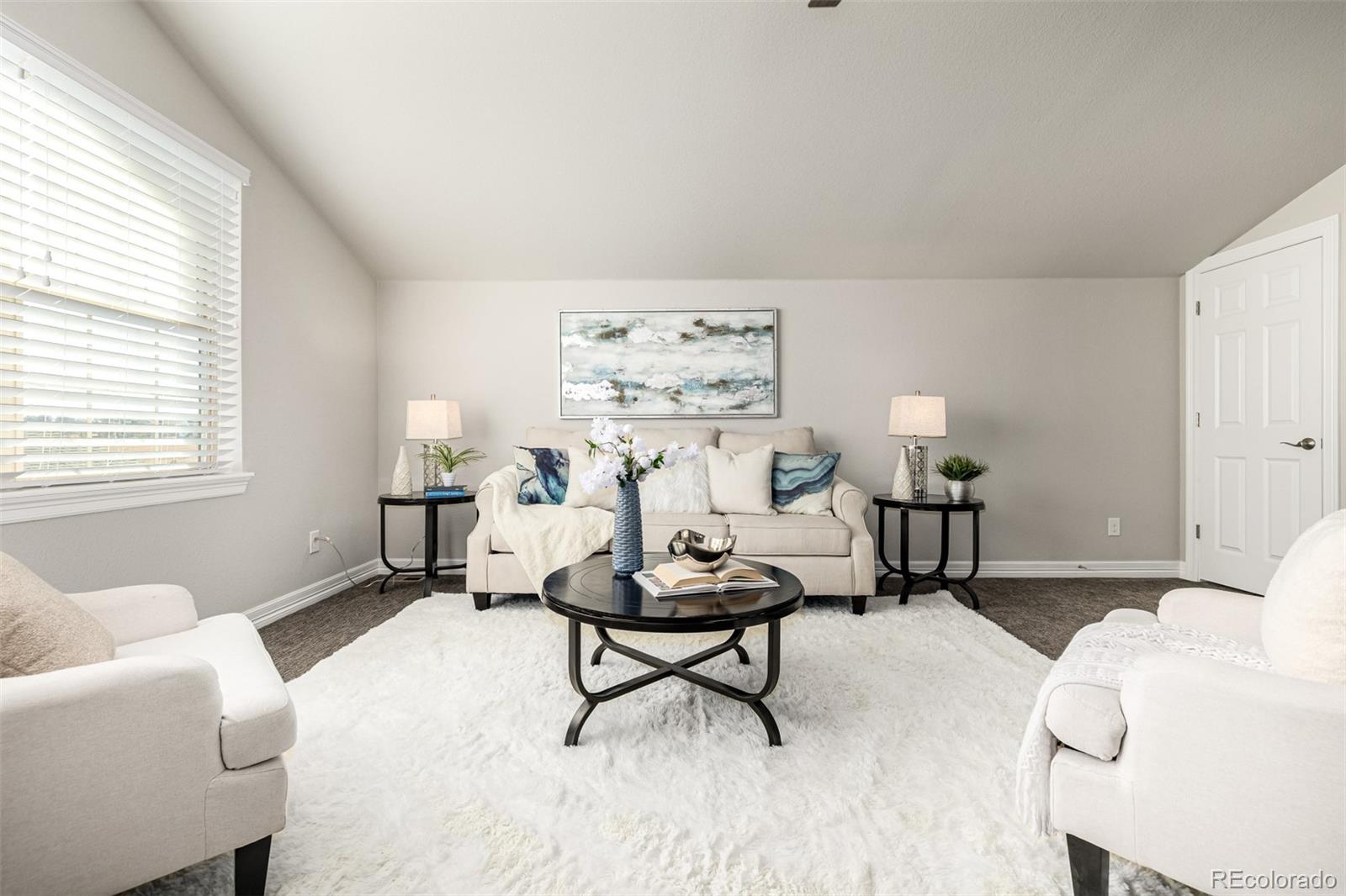 MLS Image #27 for 22654 e henderson drive,aurora, Colorado
