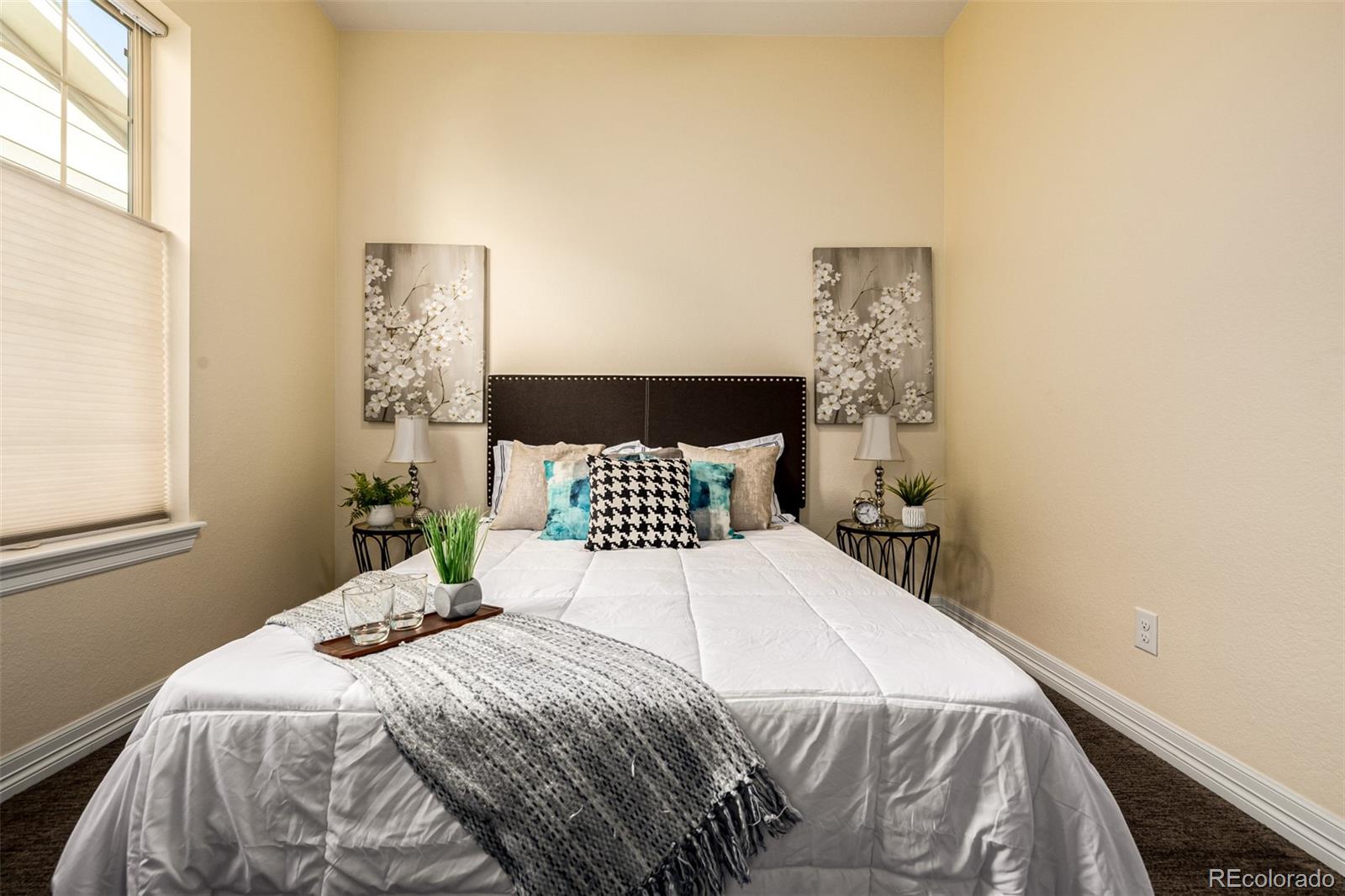 MLS Image #9 for 22654 e henderson drive,aurora, Colorado