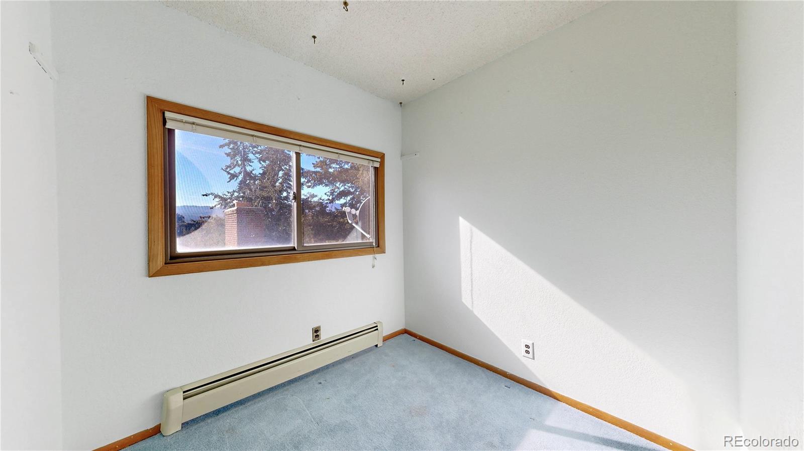 MLS Image #21 for 6755  marshmerry lane,evergreen, Colorado