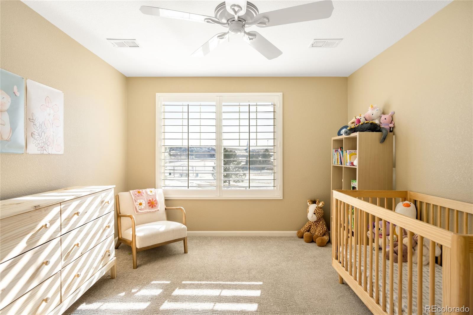 MLS Image #26 for 11662 s maiden hair way,parker, Colorado
