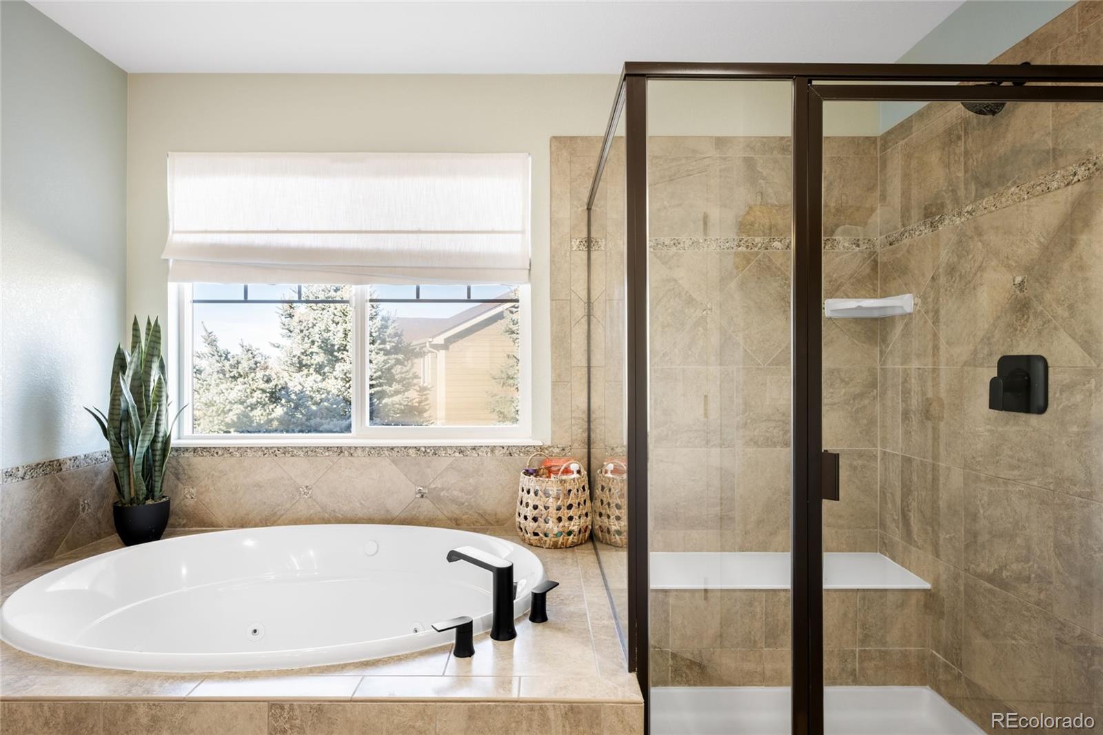 MLS Image #27 for 11662 s maiden hair way,parker, Colorado