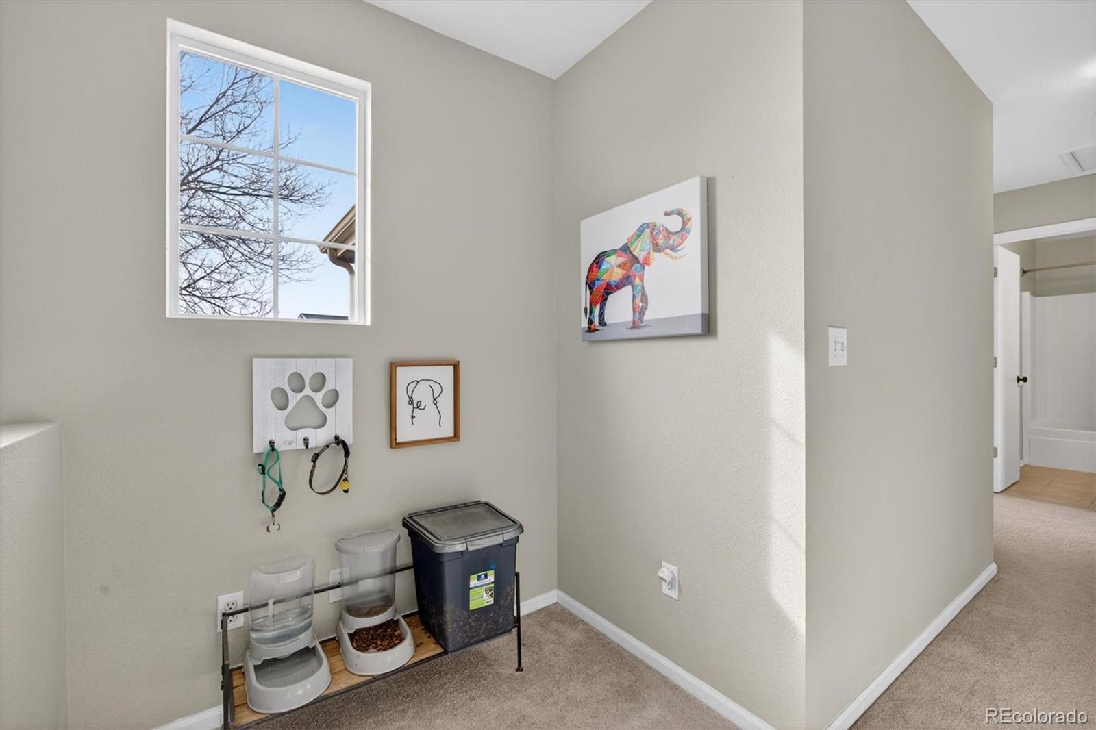 MLS Image #14 for 5431  suffolk circle,castle rock, Colorado