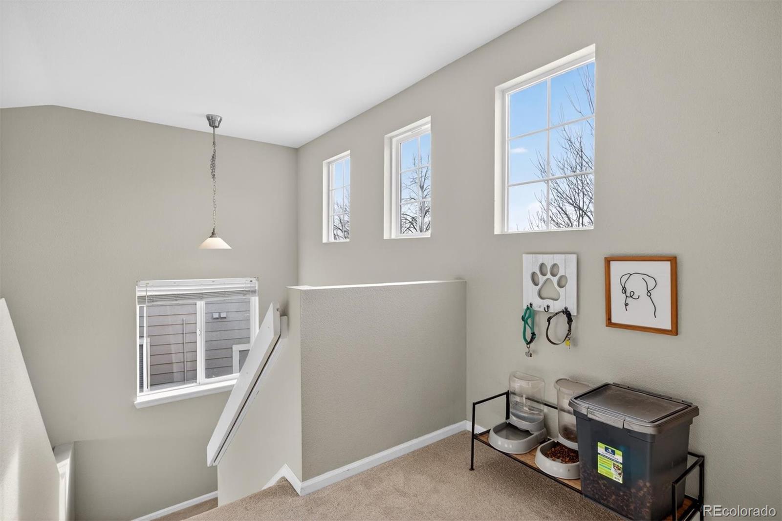 MLS Image #25 for 5431  suffolk circle,castle rock, Colorado