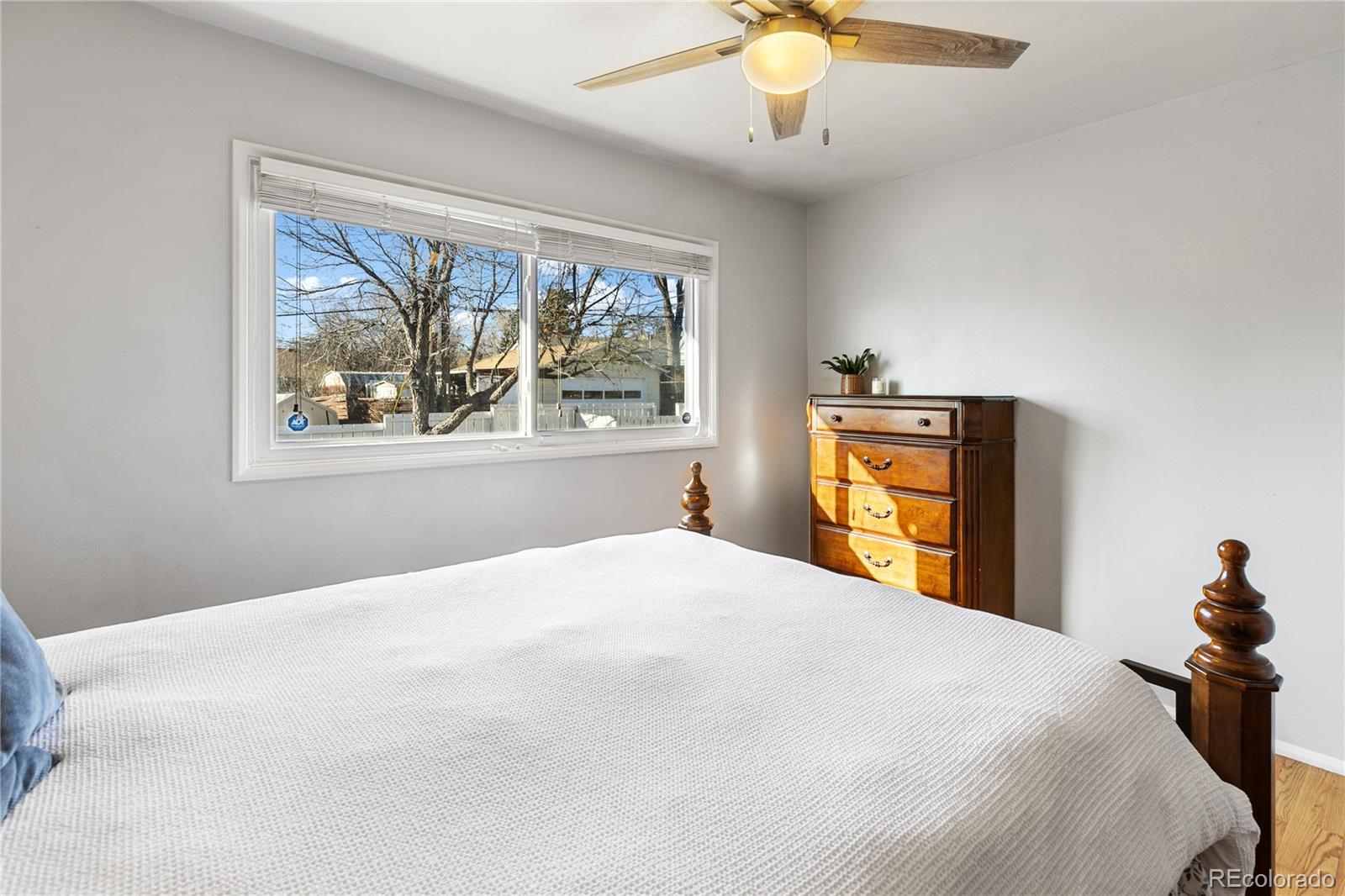 MLS Image #12 for 1310  edith lane,colorado springs, Colorado