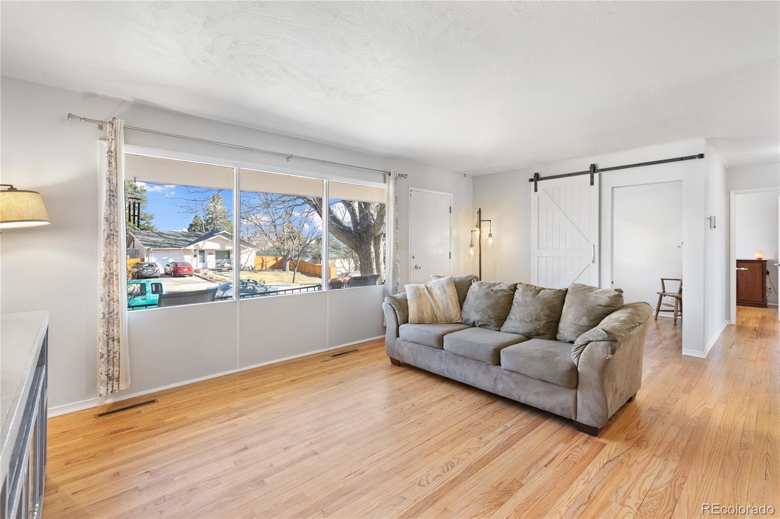 MLS Image #3 for 1310  edith lane,colorado springs, Colorado