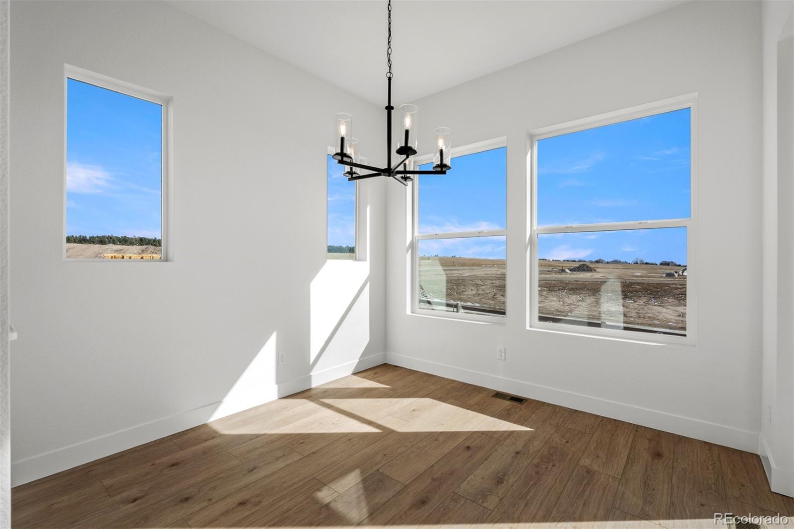 MLS Image #14 for 6583  arabesque loop,colorado springs, Colorado
