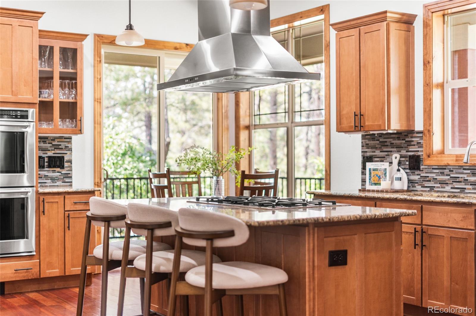 MLS Image #4 for 1587  avenida del sol ,castle rock, Colorado