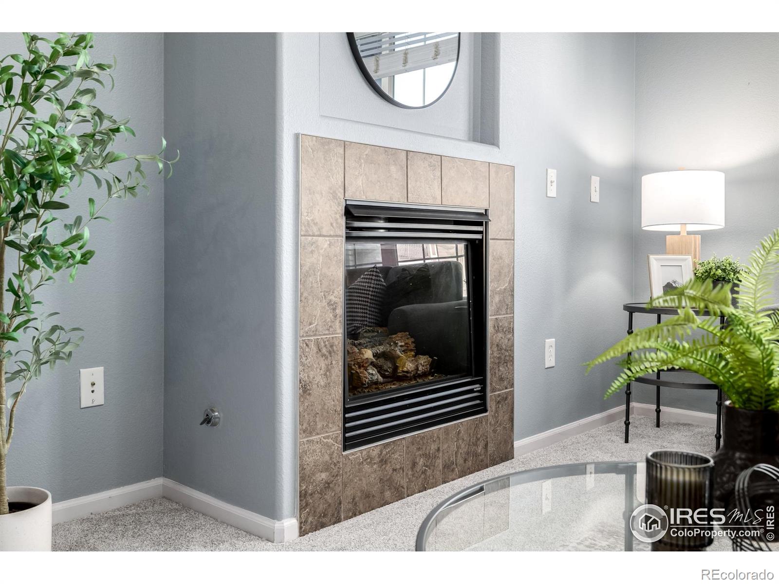 MLS Image #6 for 1465  blue sky circle 204,erie, Colorado