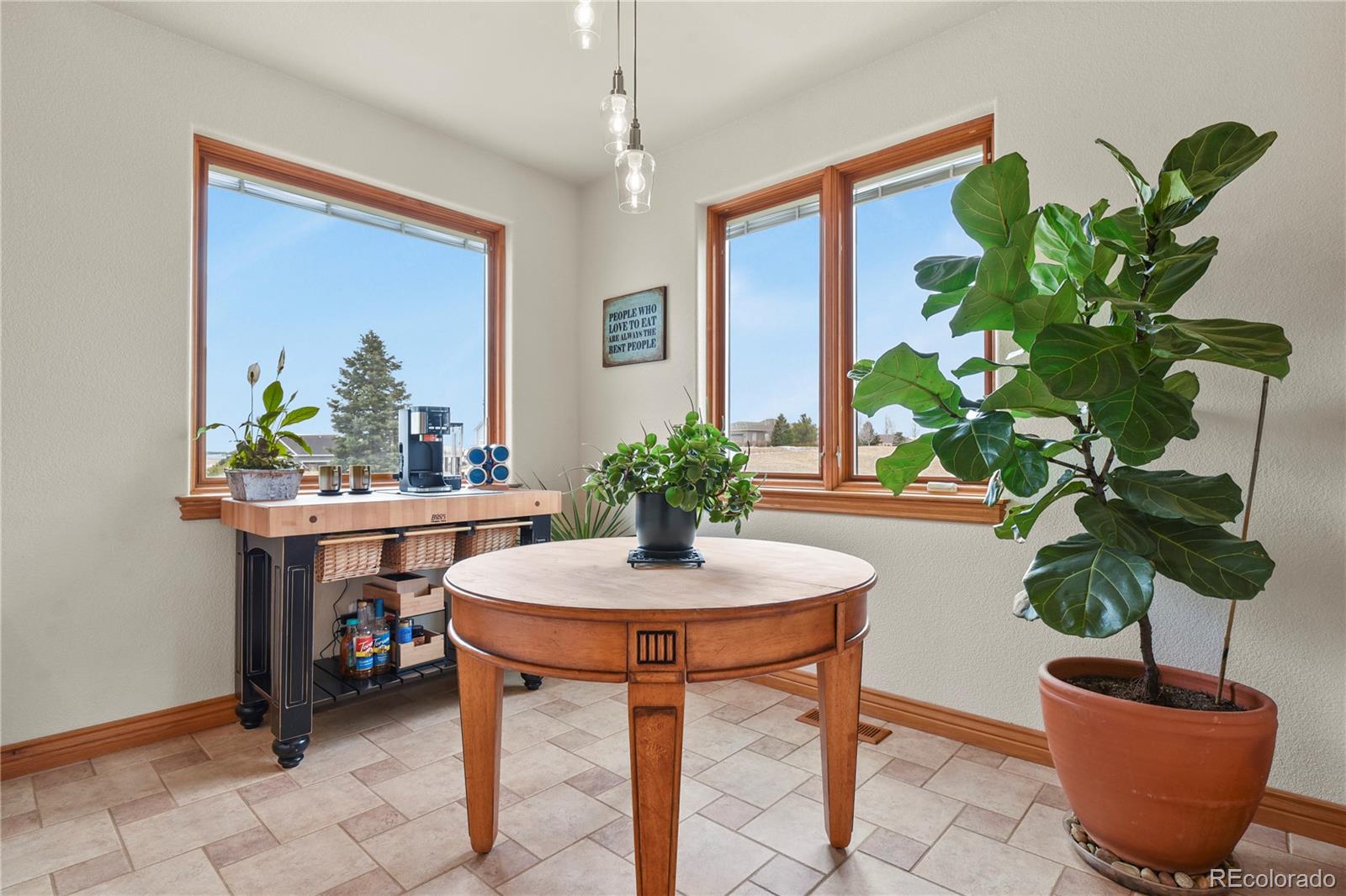 MLS Image #10 for 5220  roundup ridge road,colorado springs, Colorado