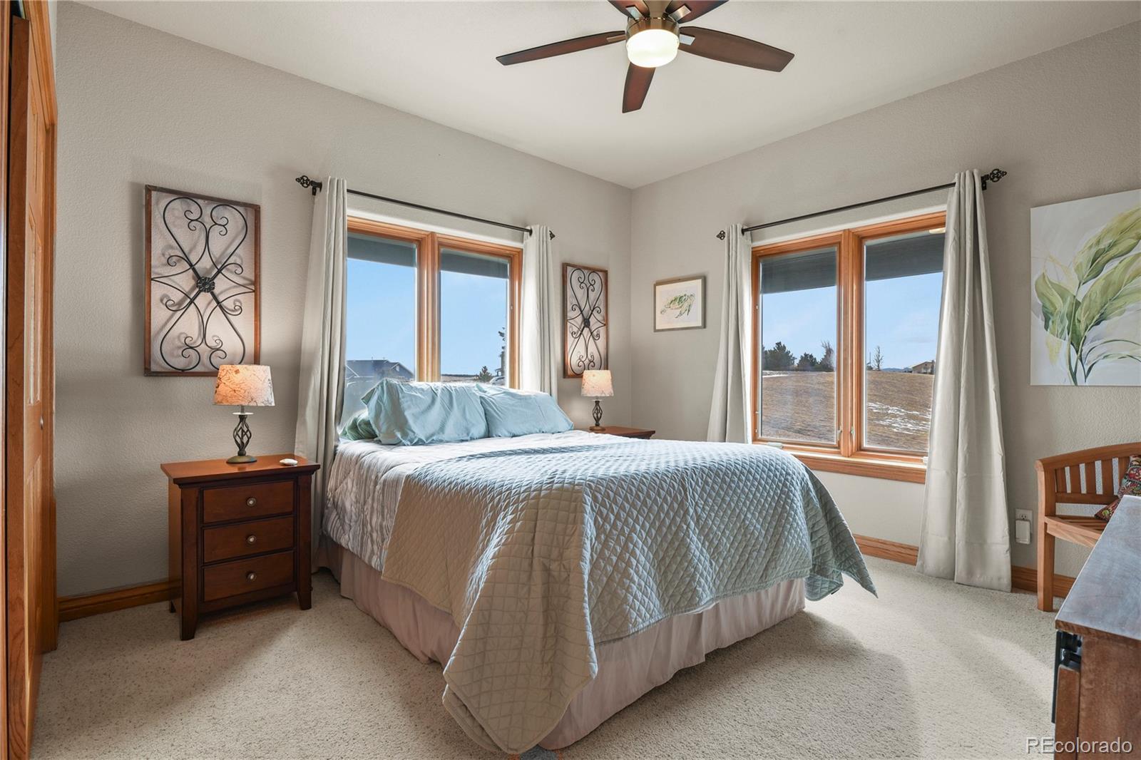 MLS Image #18 for 5220  roundup ridge road,colorado springs, Colorado