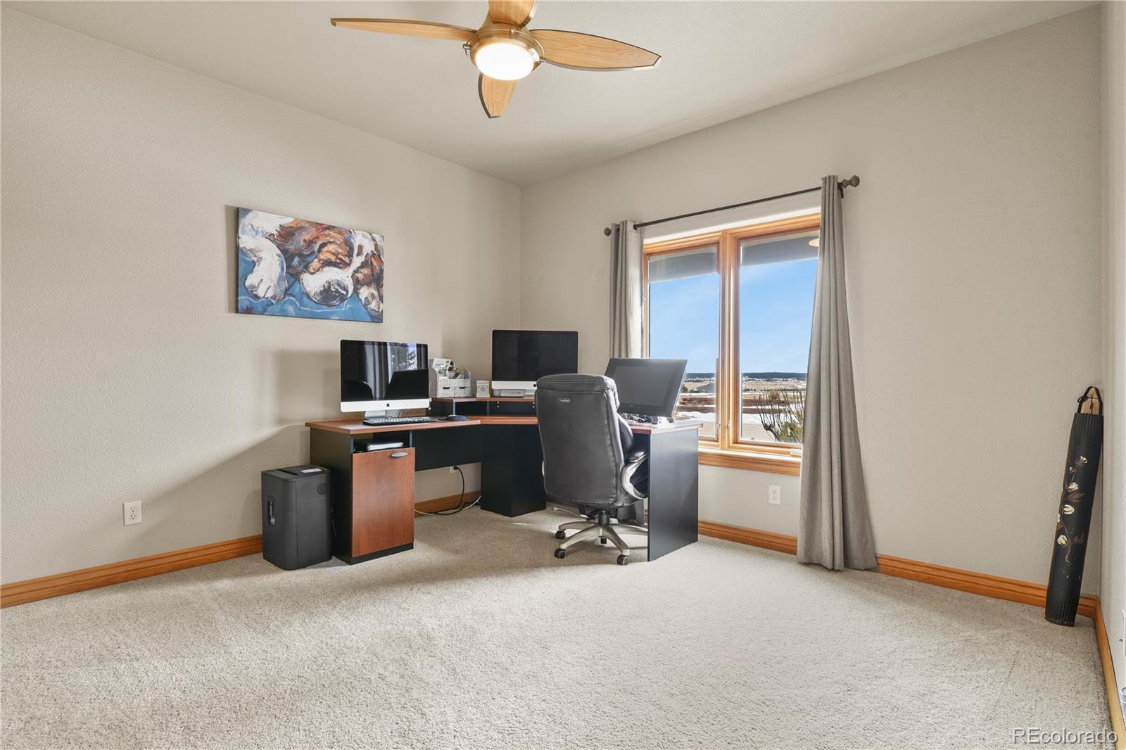 MLS Image #20 for 5220  roundup ridge road,colorado springs, Colorado