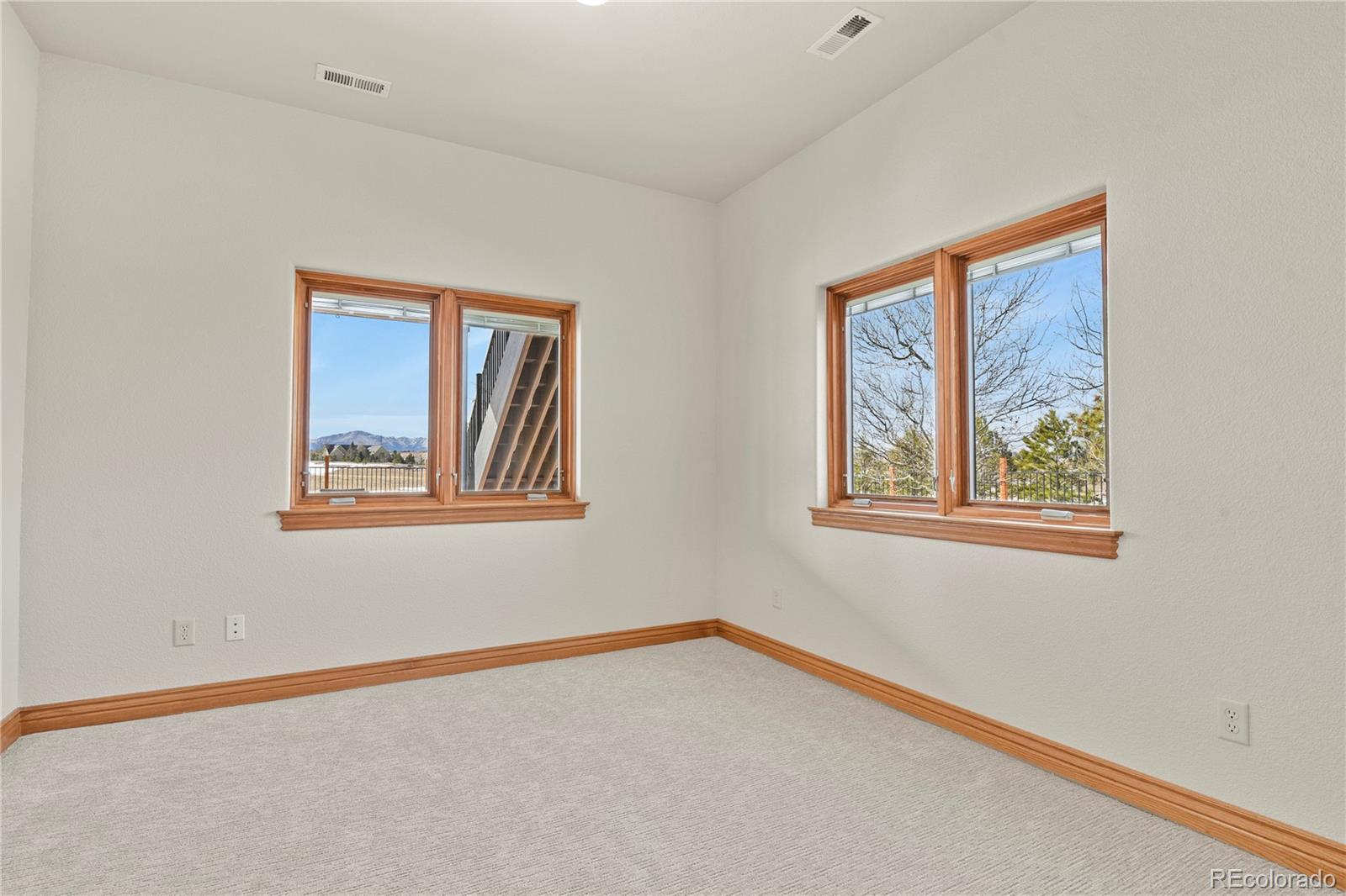 MLS Image #46 for 5220  roundup ridge road,colorado springs, Colorado