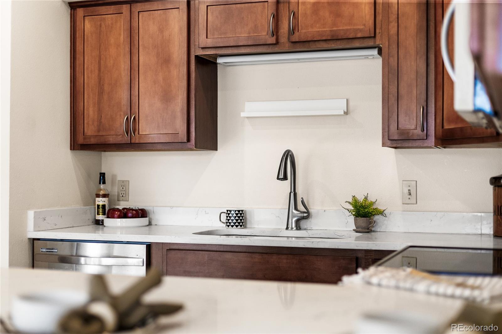MLS Image #13 for 1150  inca street,denver, Colorado