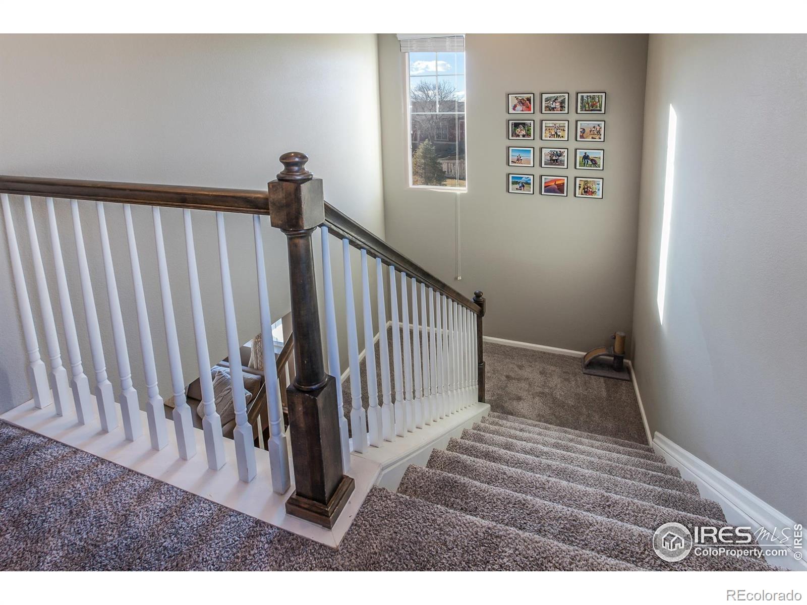 MLS Image #16 for 5455  eagle creek drive,timnath, Colorado