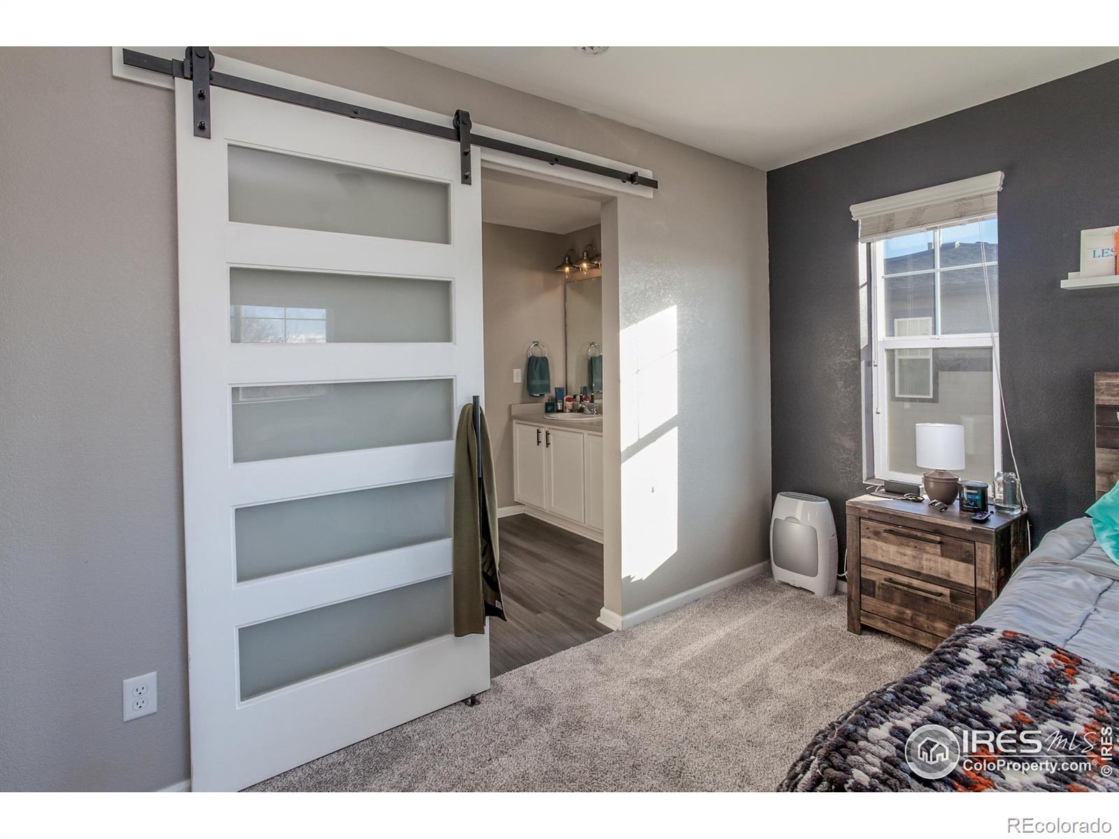 MLS Image #18 for 5455  eagle creek drive,timnath, Colorado