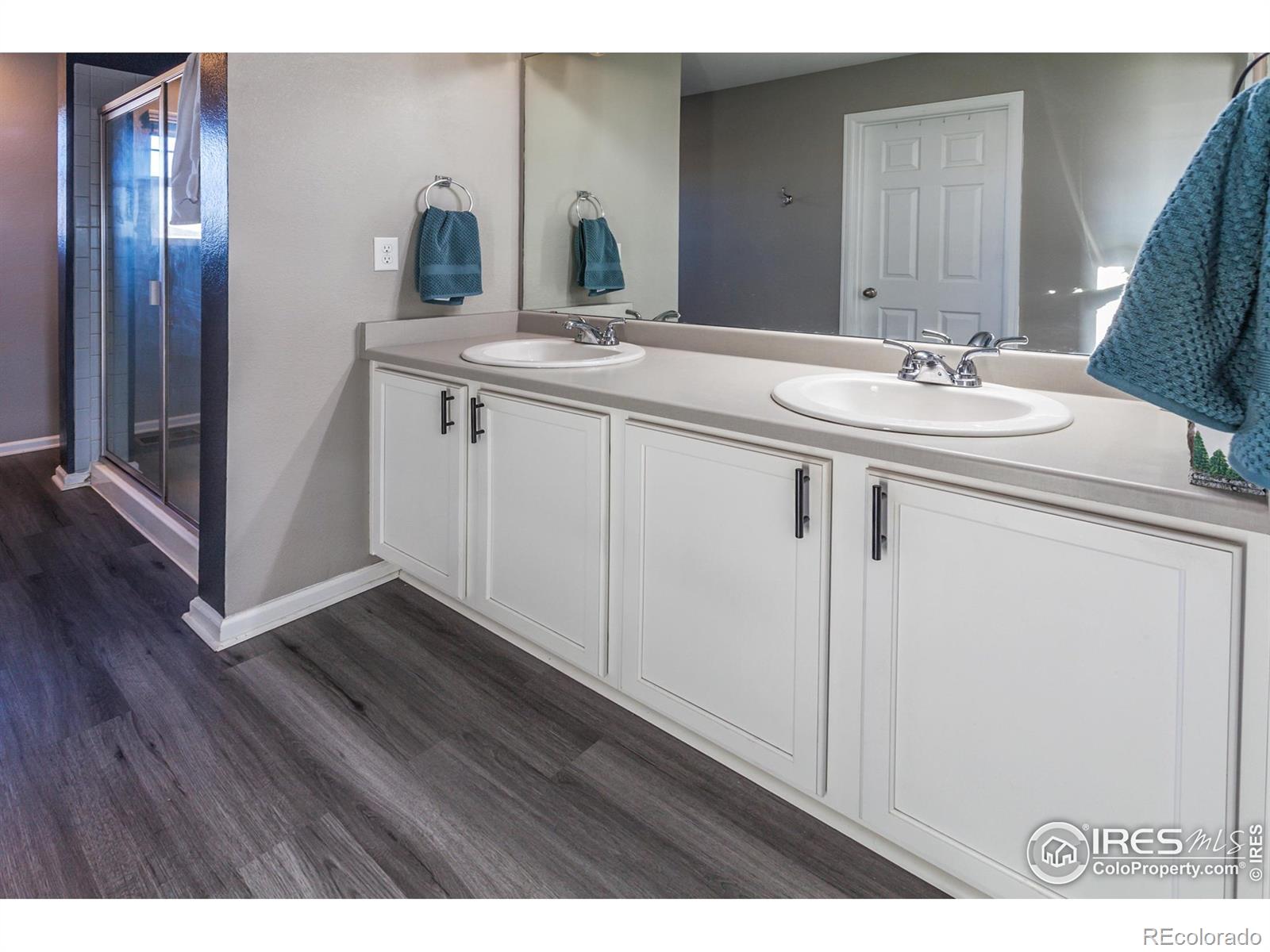 MLS Image #20 for 5455  eagle creek drive,timnath, Colorado