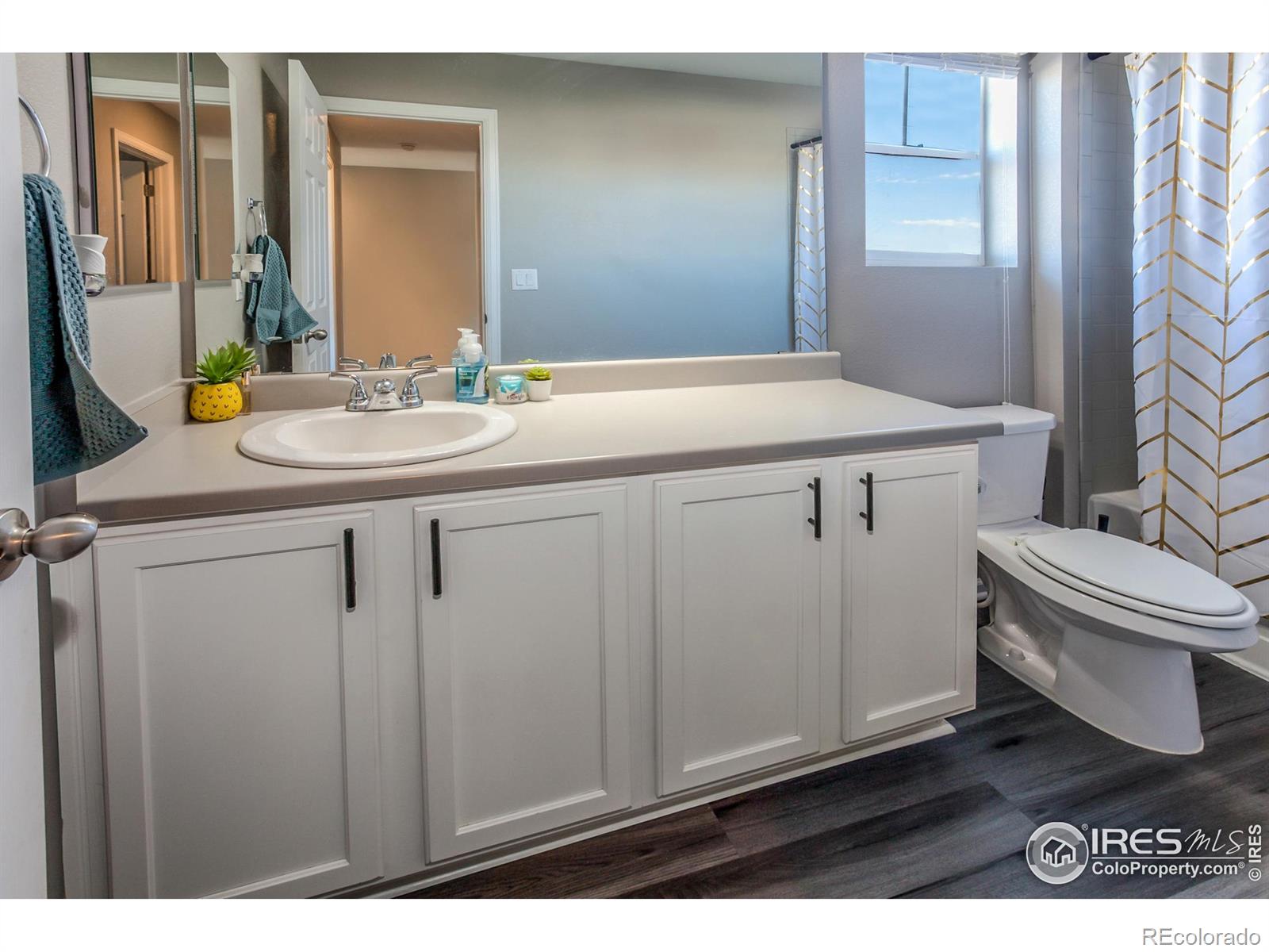 MLS Image #22 for 5455  eagle creek drive,timnath, Colorado