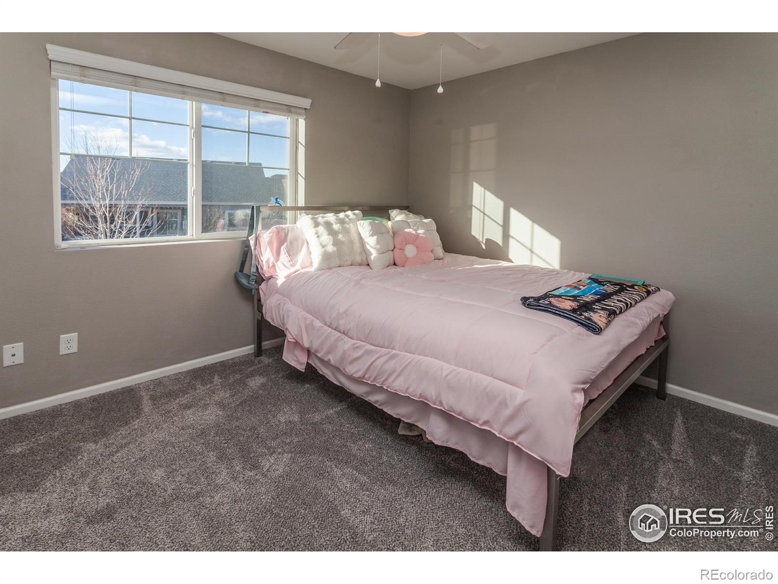 MLS Image #23 for 5455  eagle creek drive,timnath, Colorado