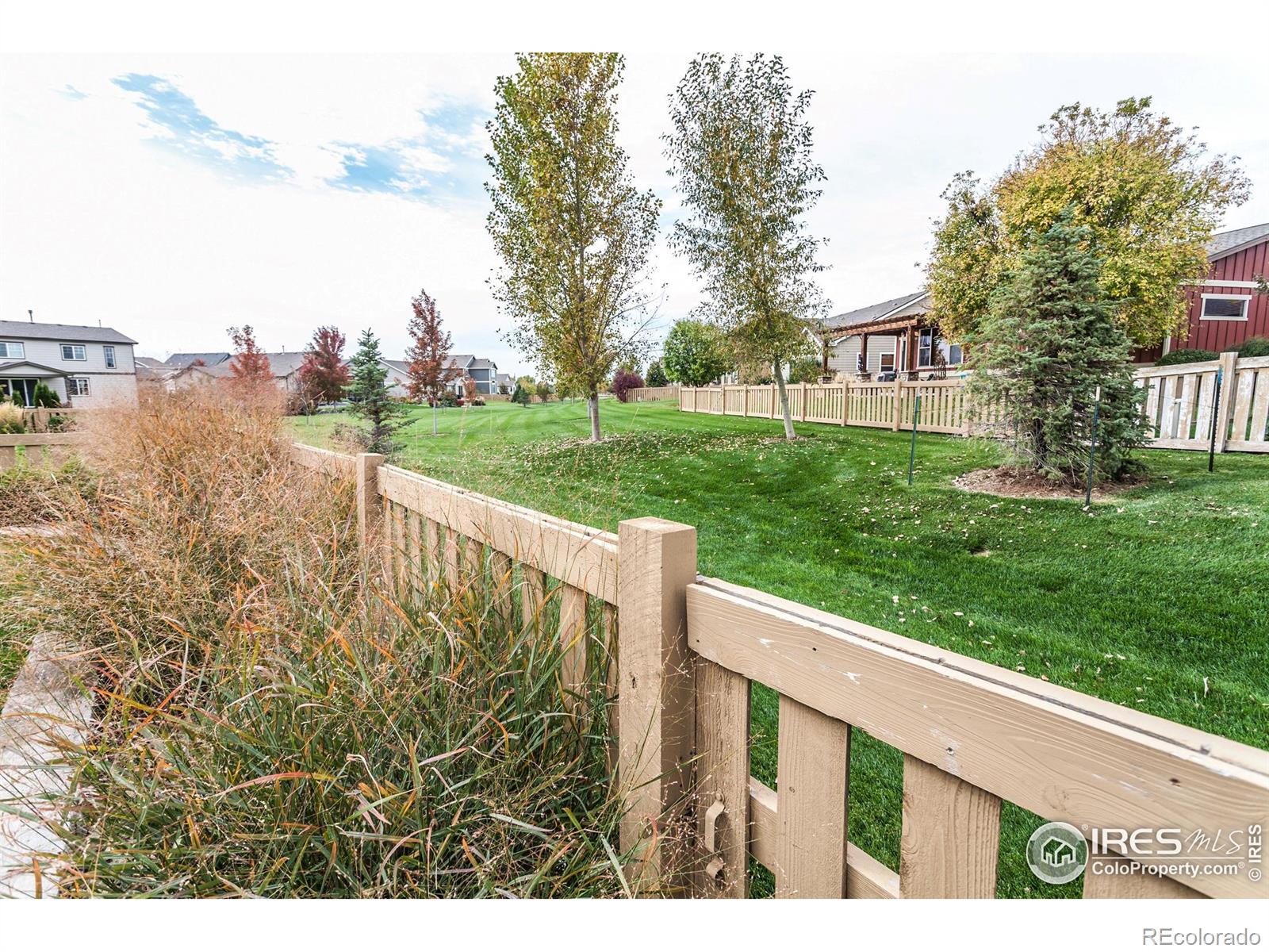 MLS Image #31 for 5455  eagle creek drive,timnath, Colorado