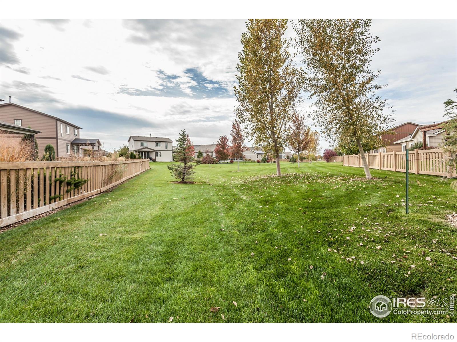 MLS Image #32 for 5455  eagle creek drive,timnath, Colorado