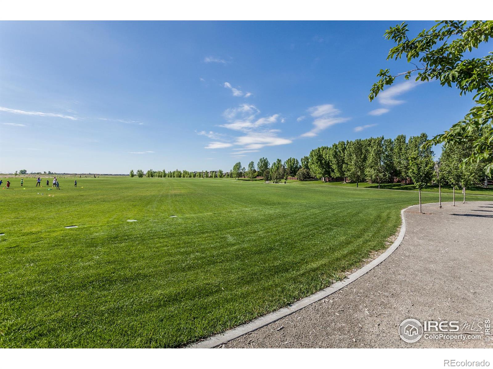 MLS Image #42 for 5455  eagle creek drive,timnath, Colorado