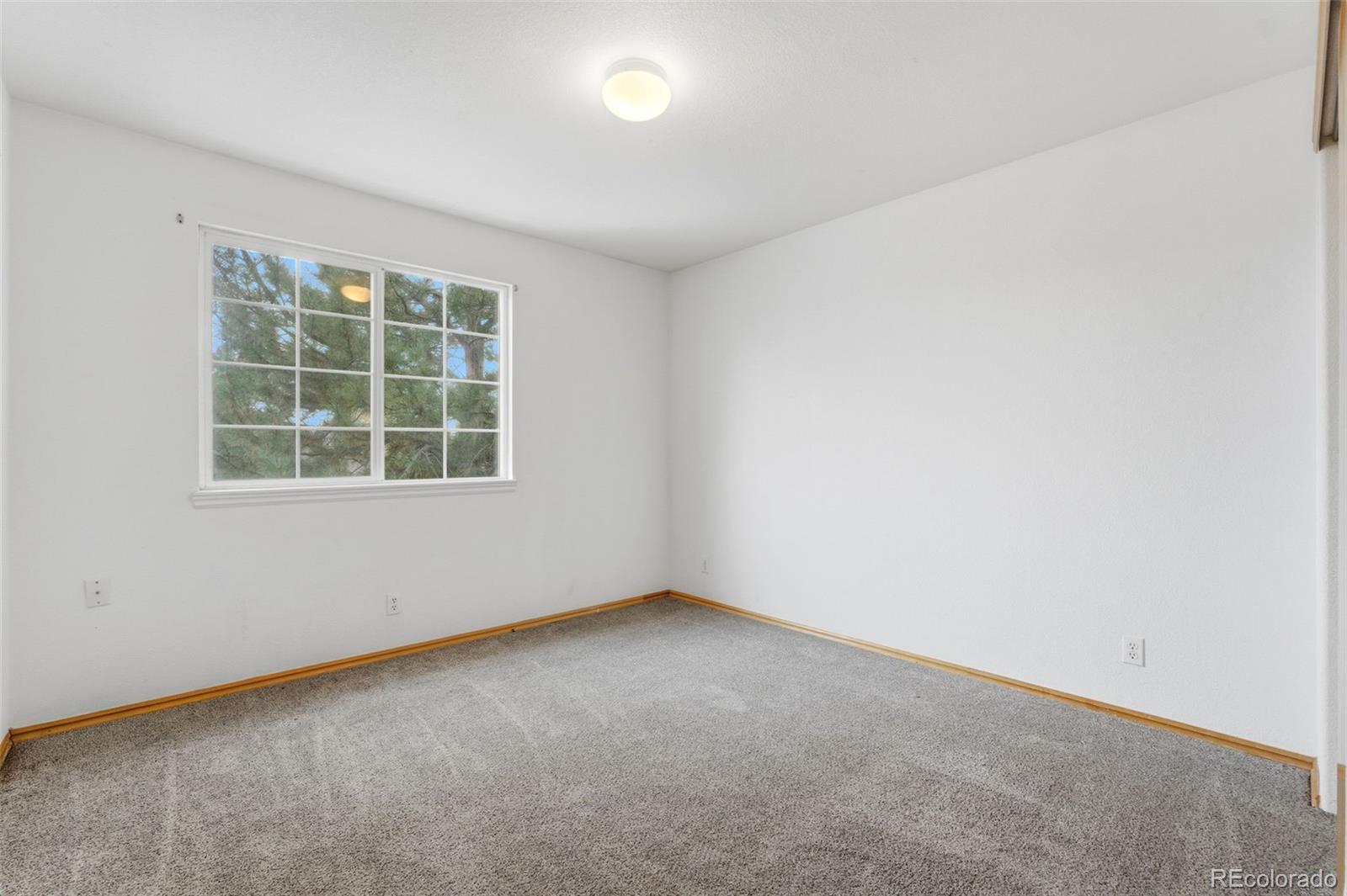 MLS Image #33 for 10505  madison way,northglenn, Colorado
