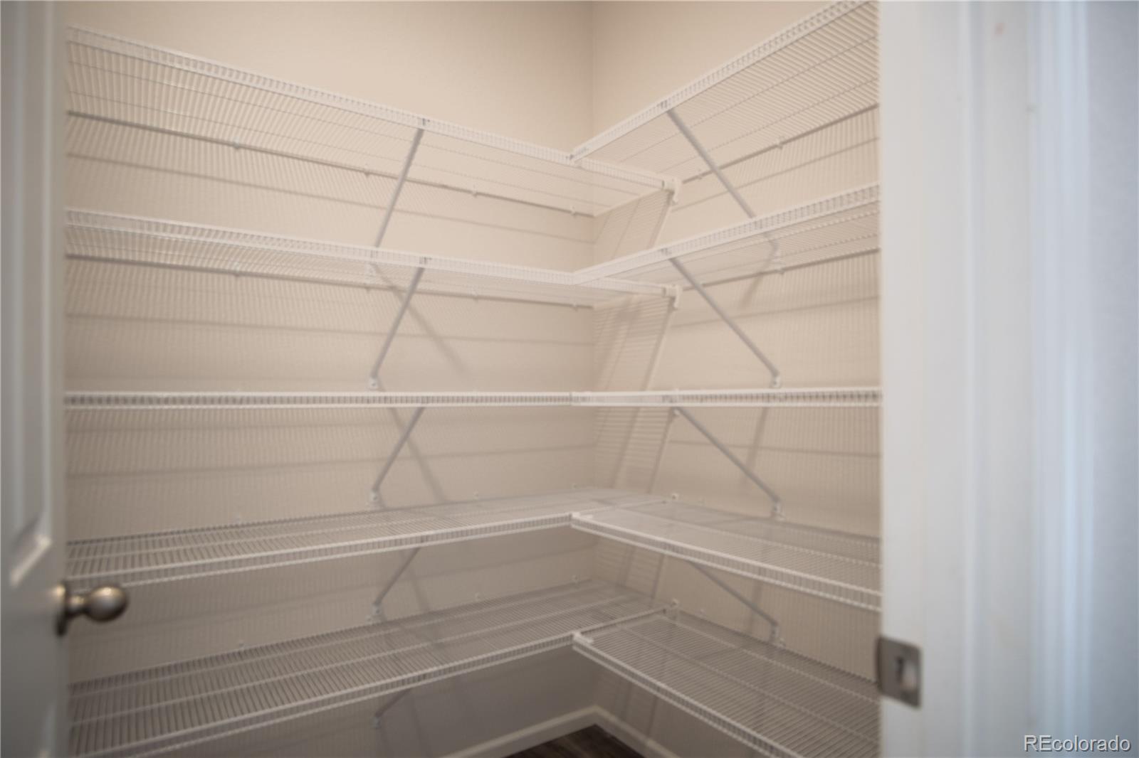 MLS Image #12 for 4593  gray wolf lane,castle rock, Colorado