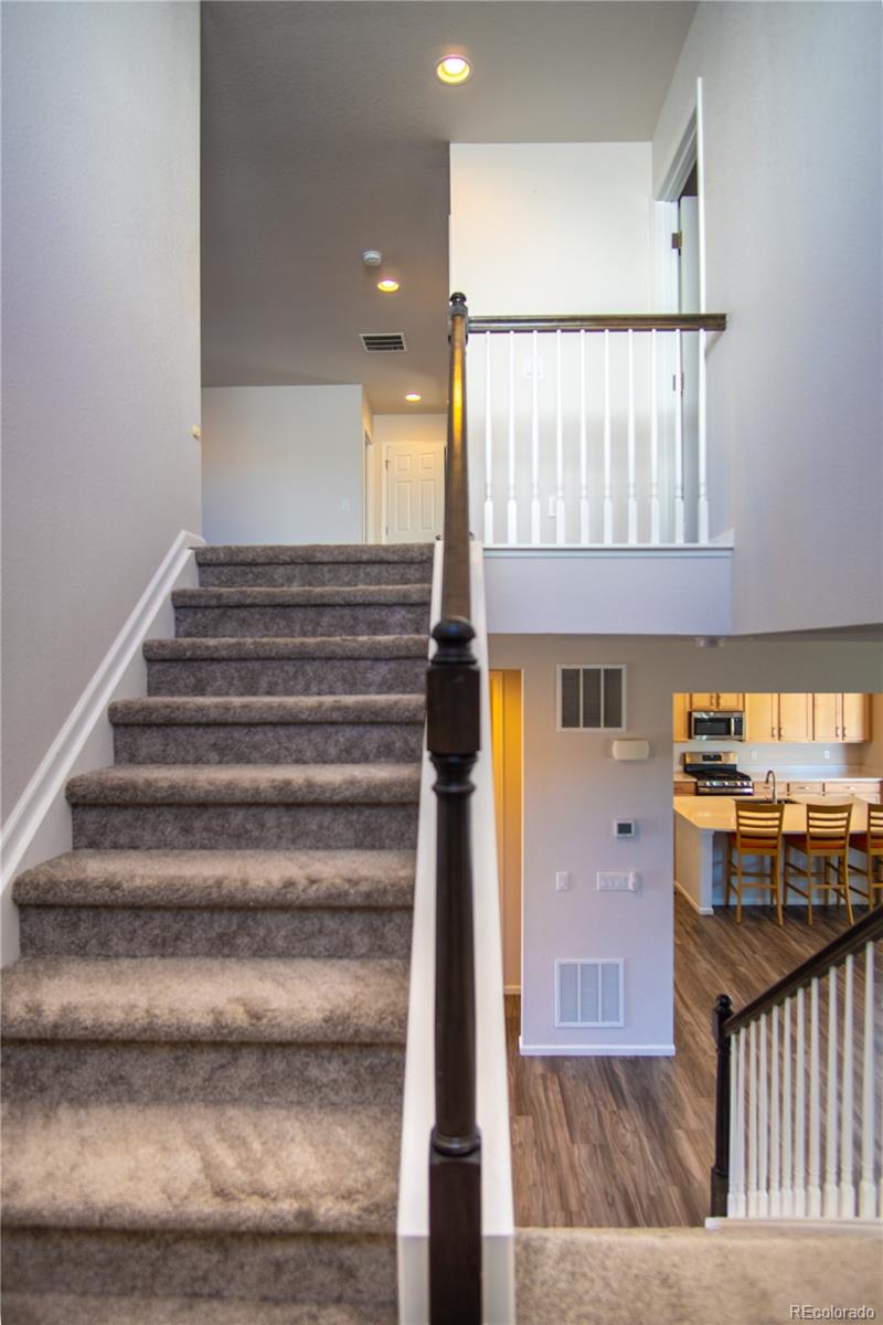 MLS Image #14 for 4593  gray wolf lane,castle rock, Colorado