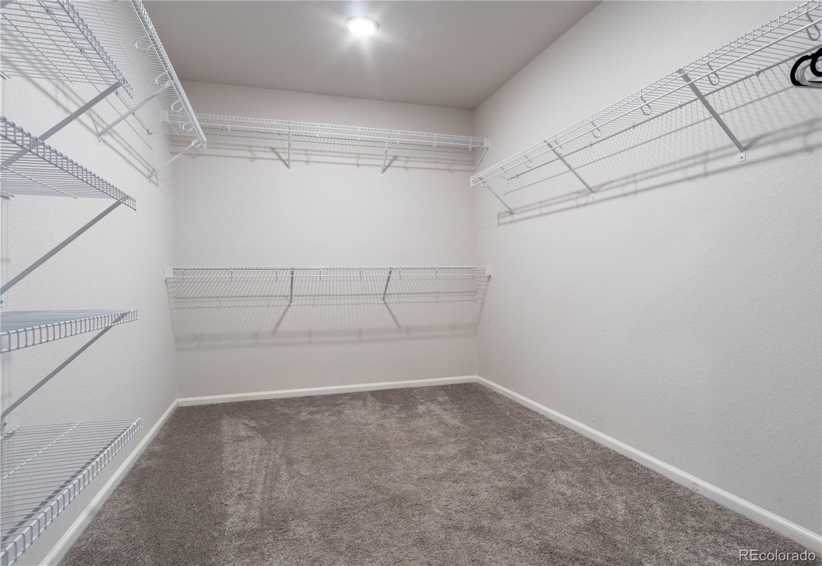 MLS Image #23 for 4593  gray wolf lane,castle rock, Colorado