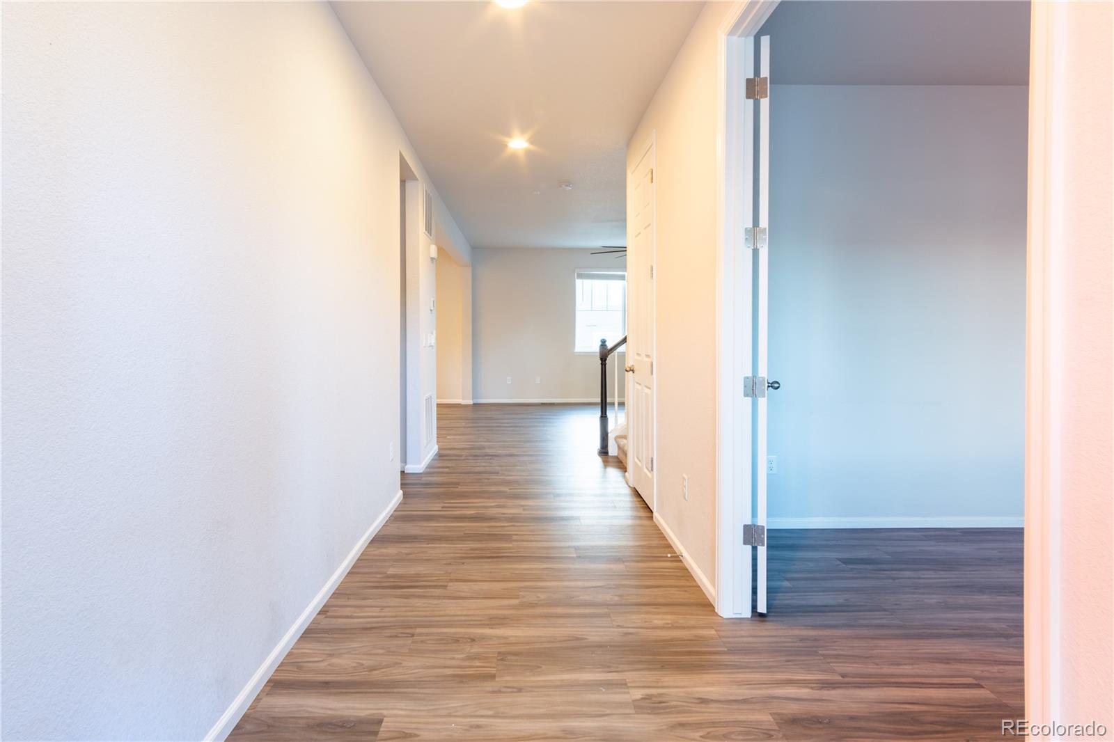 MLS Image #3 for 4593  gray wolf lane,castle rock, Colorado
