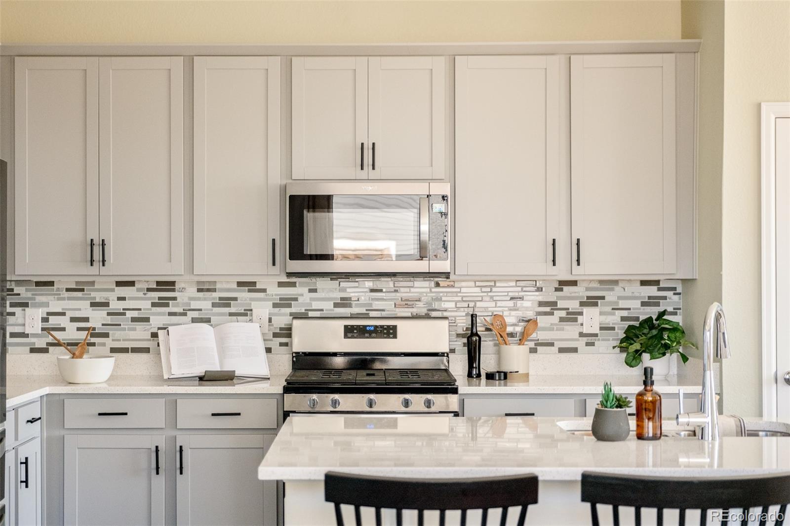 MLS Image #10 for 17466  bluetrail avenue,parker, Colorado