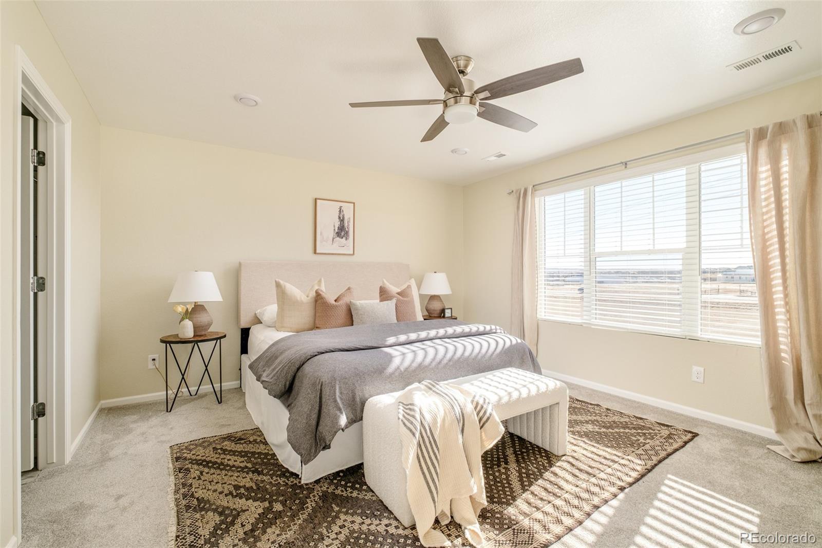 MLS Image #20 for 17466  bluetrail avenue,parker, Colorado