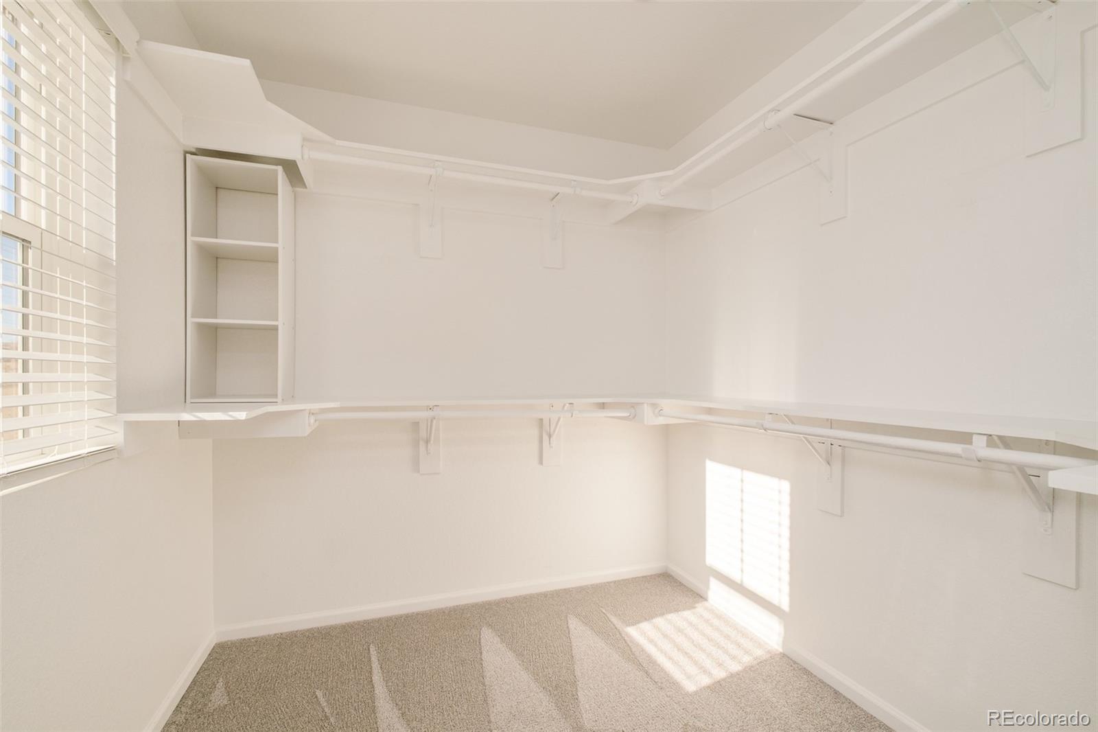 MLS Image #29 for 17466  bluetrail avenue,parker, Colorado