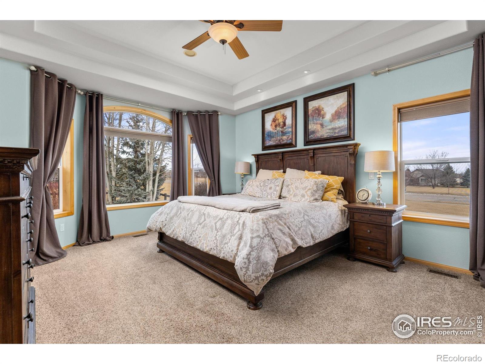 MLS Image #19 for 6684  royal country down drive,windsor, Colorado