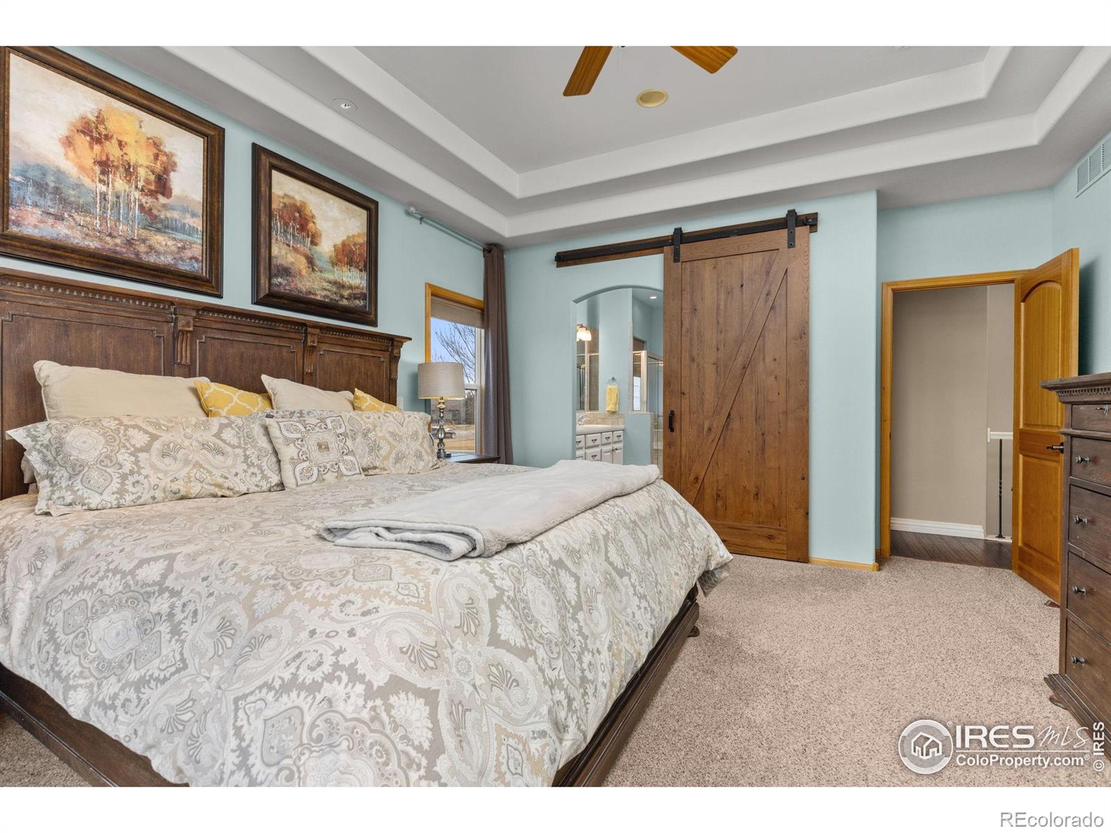 MLS Image #20 for 6684  royal country down drive,windsor, Colorado