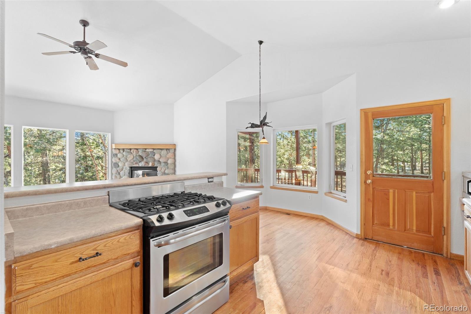 MLS Image #18 for 349  gunsmoke drive,bailey, Colorado