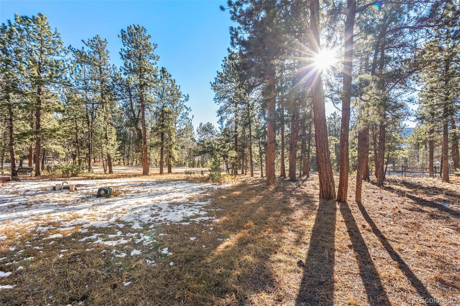 MLS Image #41 for 349  gunsmoke drive,bailey, Colorado