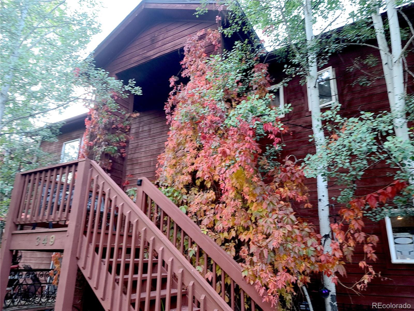 MLS Image #48 for 349  gunsmoke drive,bailey, Colorado