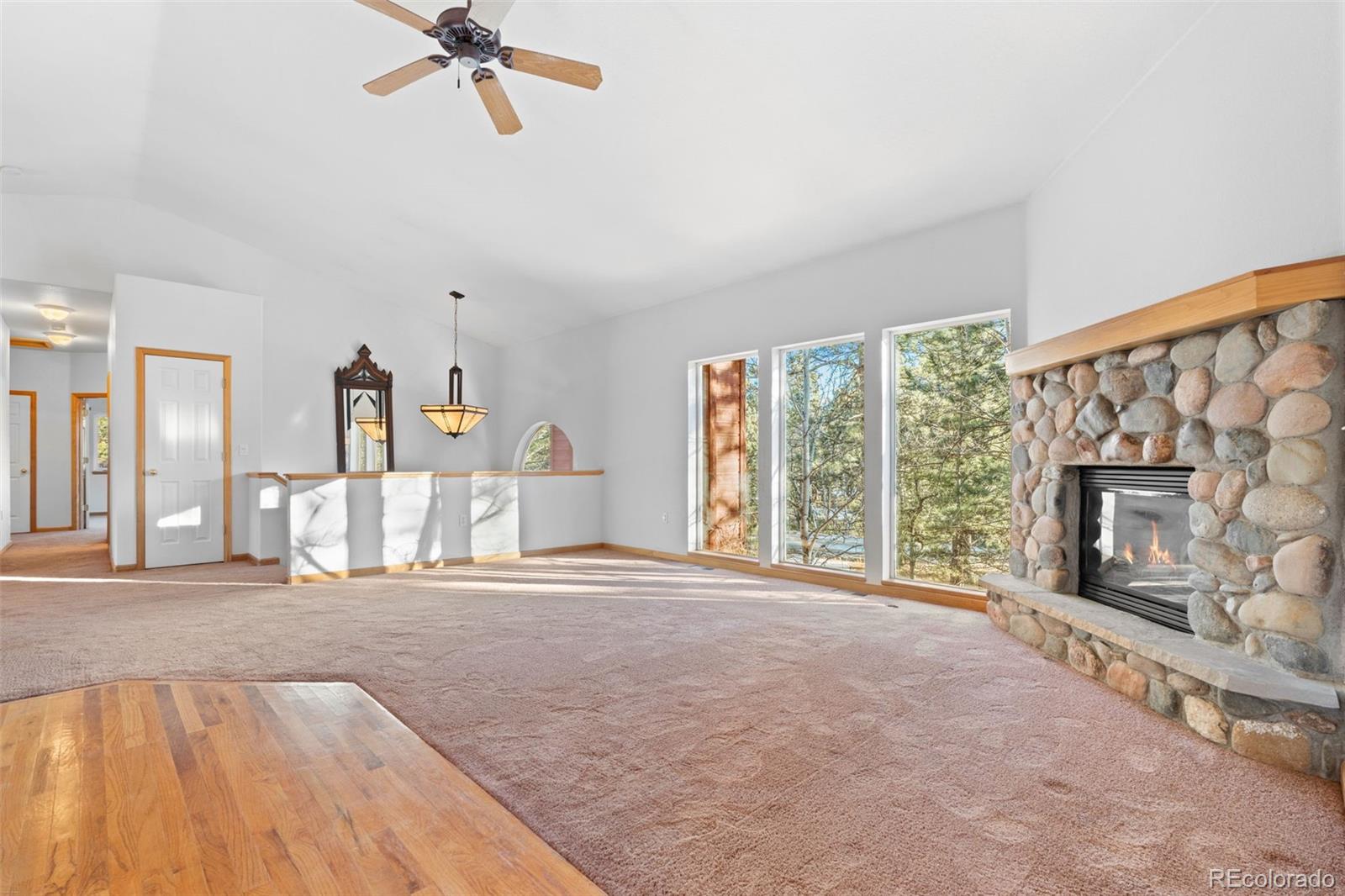 MLS Image #8 for 349  gunsmoke drive,bailey, Colorado