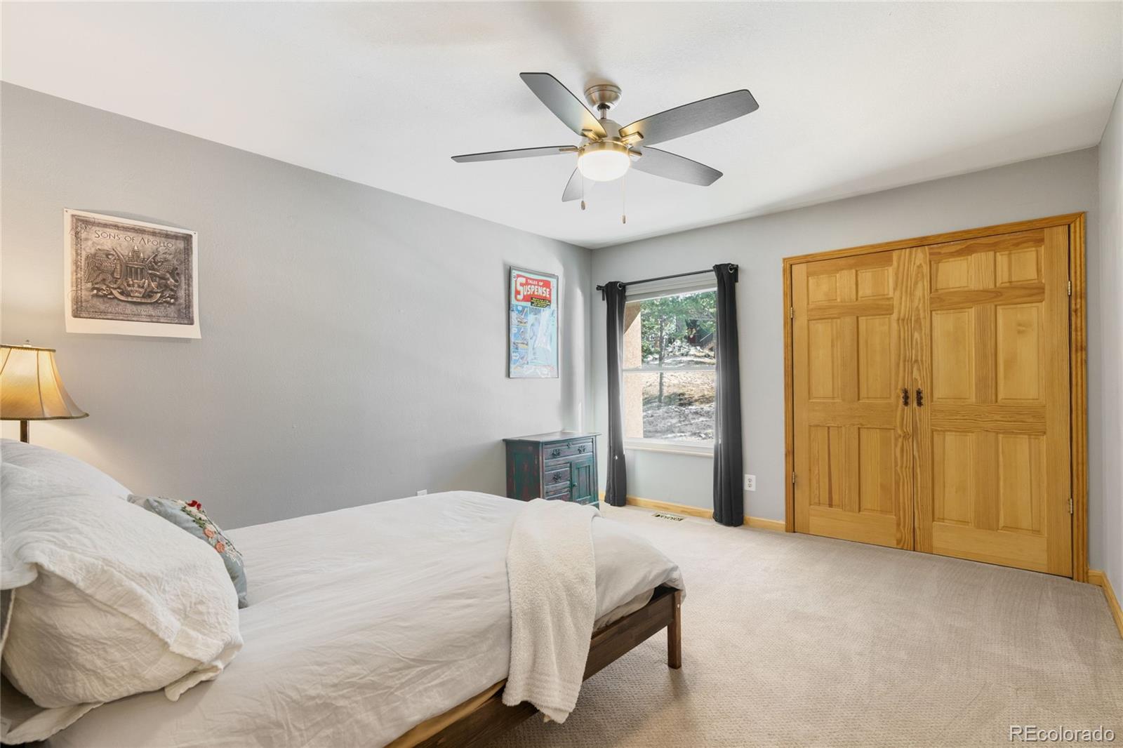 MLS Image #14 for 29551  chestnut drive,evergreen, Colorado