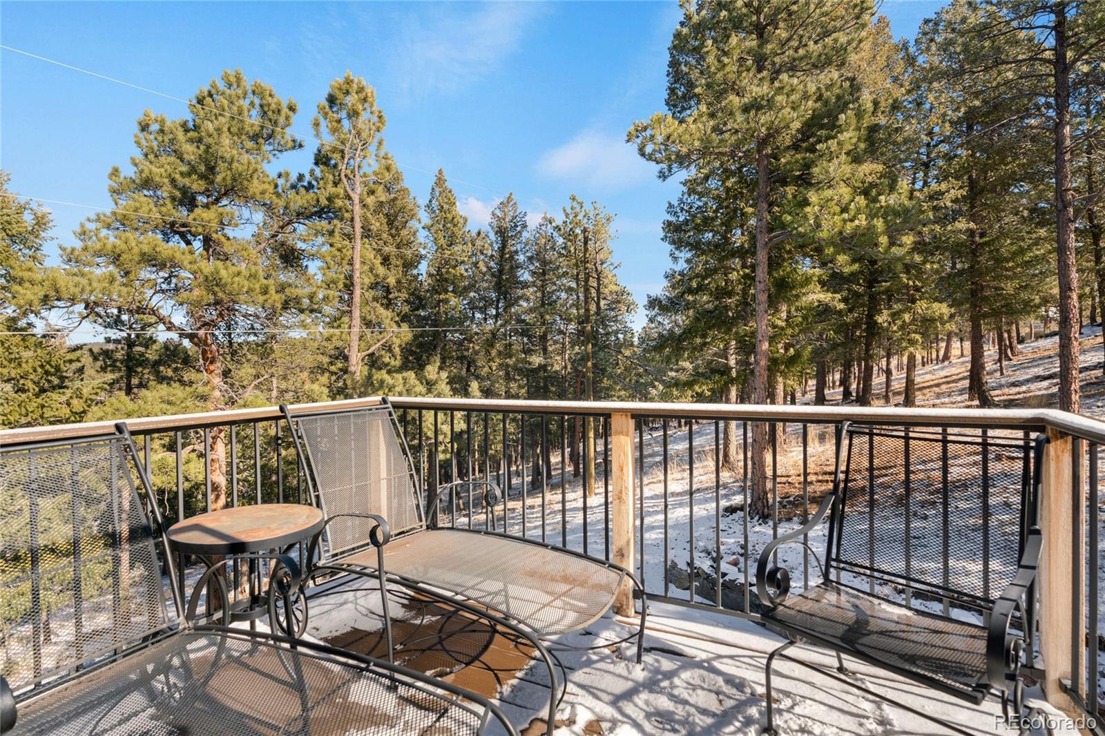 MLS Image #25 for 29551  chestnut drive,evergreen, Colorado