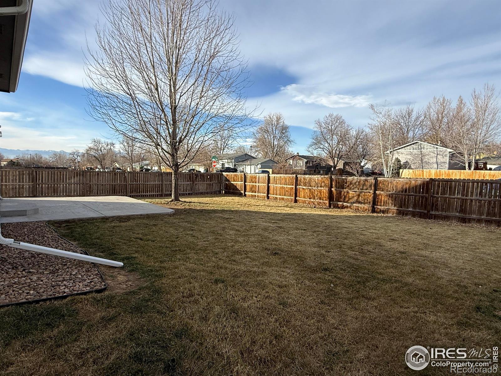 MLS Image #6 for 613  sumac street,frederick, Colorado