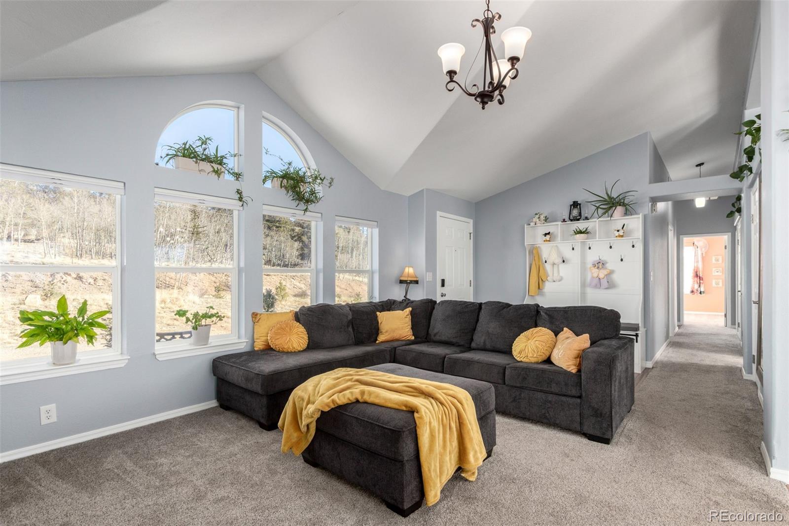 MLS Image #5 for 68  concord drive,jefferson, Colorado