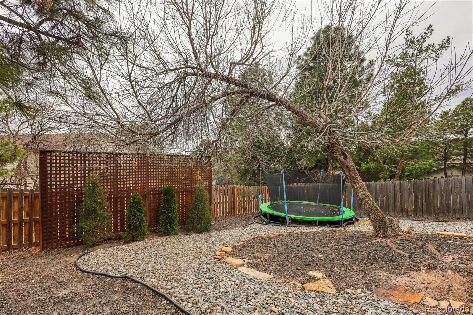 MLS Image #37 for 7035  night hawk place,colorado springs, Colorado