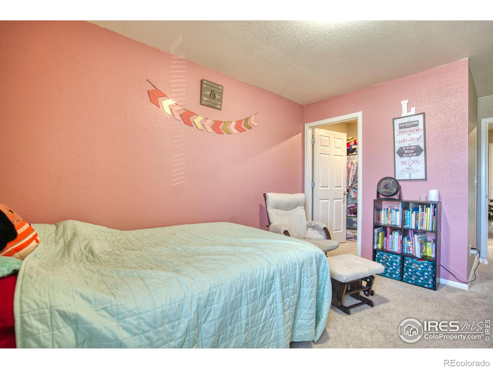 MLS Image #15 for 909  charlton drive,windsor, Colorado