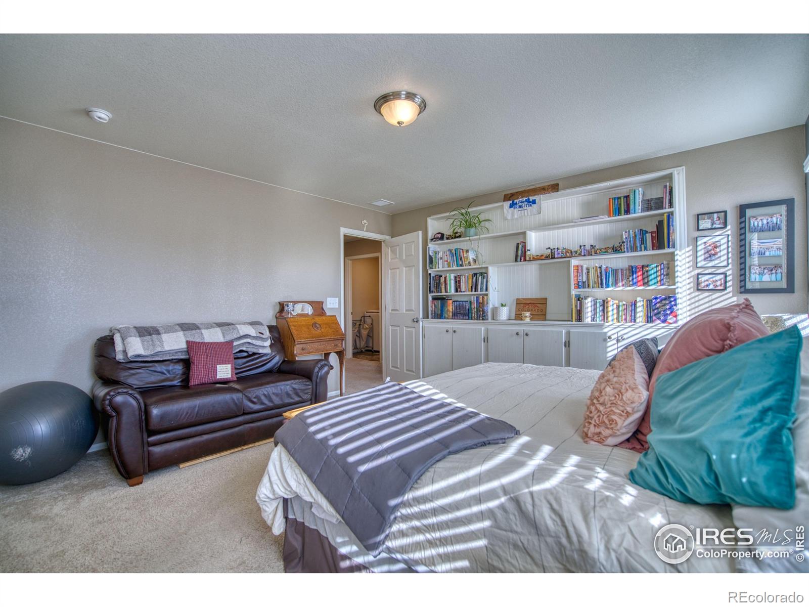 MLS Image #19 for 909  charlton drive,windsor, Colorado