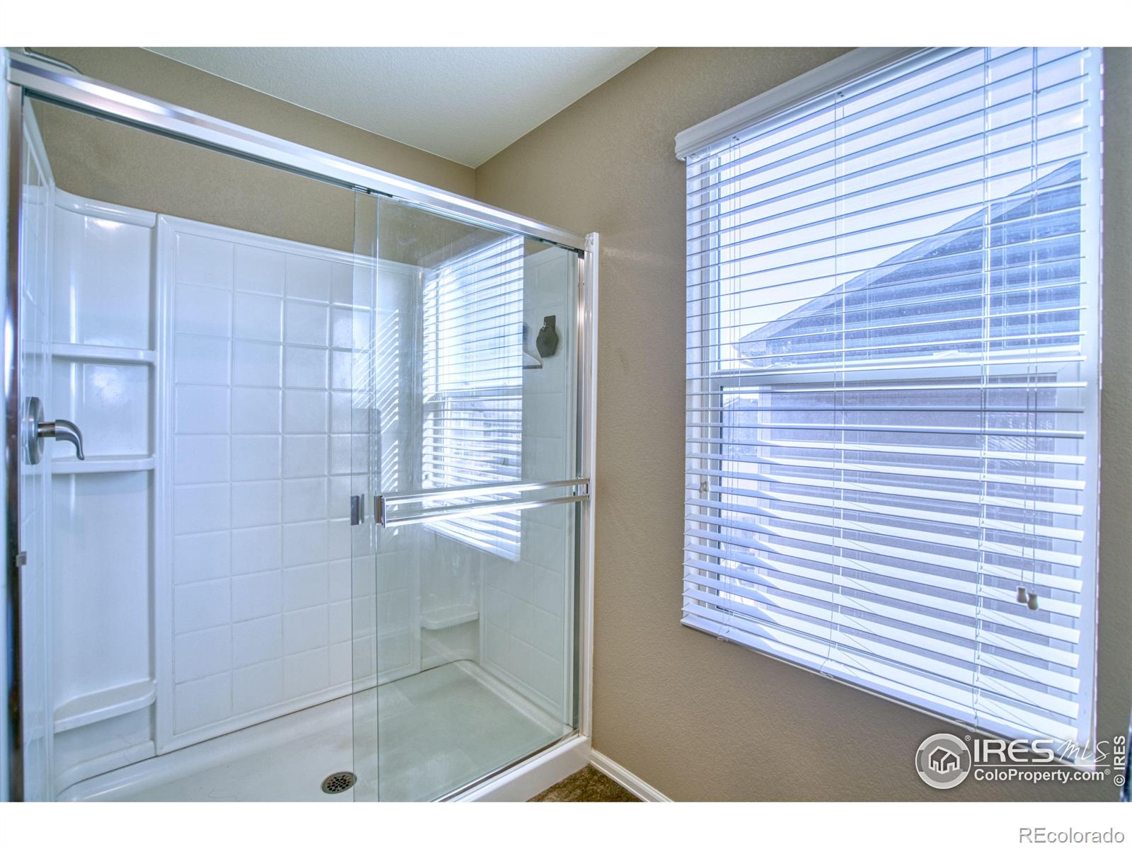 MLS Image #22 for 909  charlton drive,windsor, Colorado
