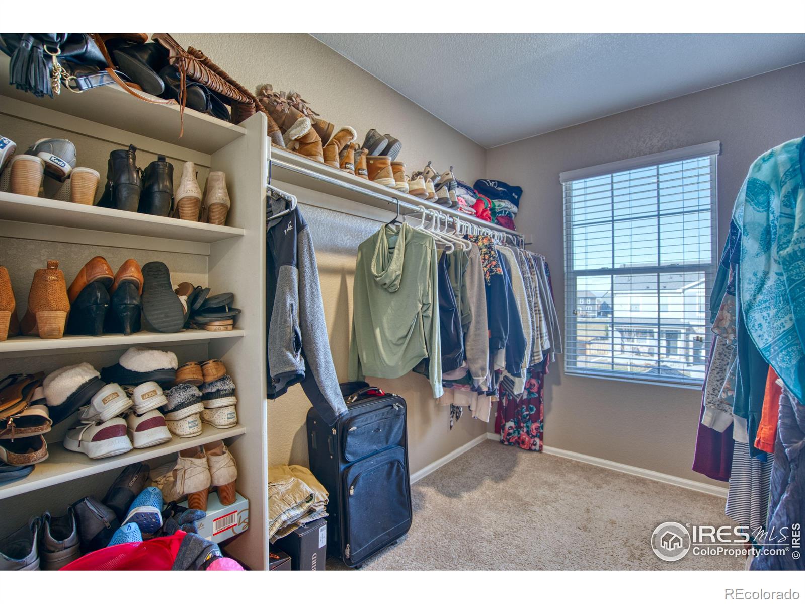 MLS Image #23 for 909  charlton drive,windsor, Colorado